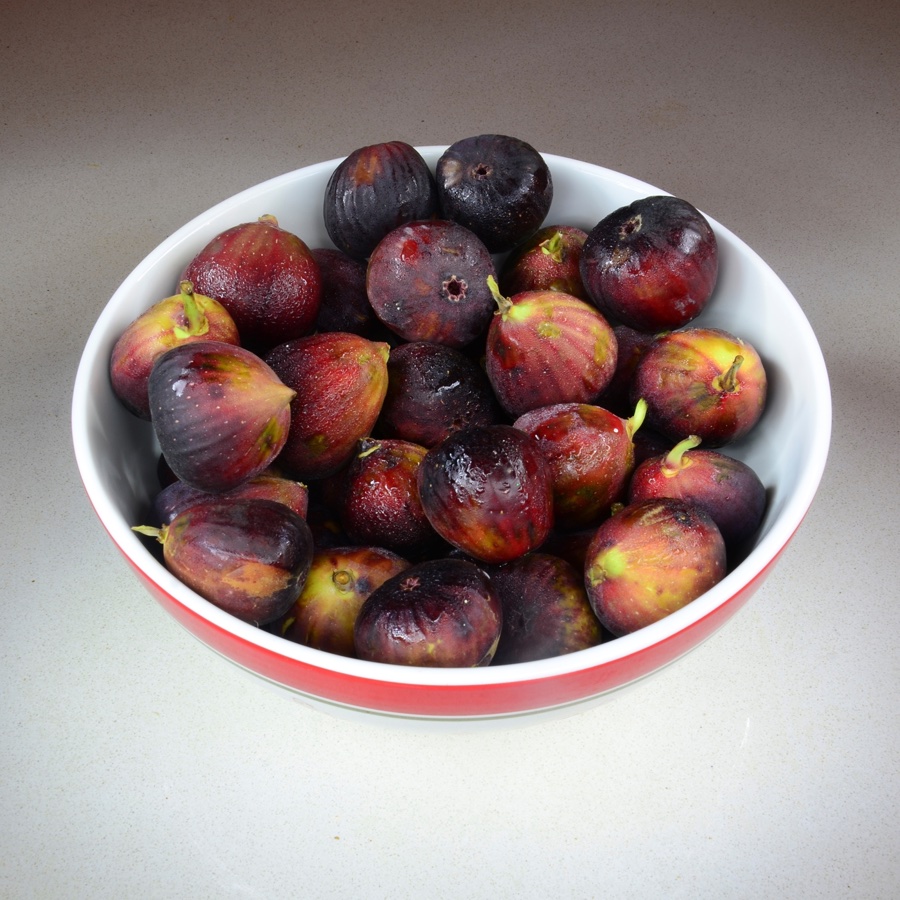 Fig fruit