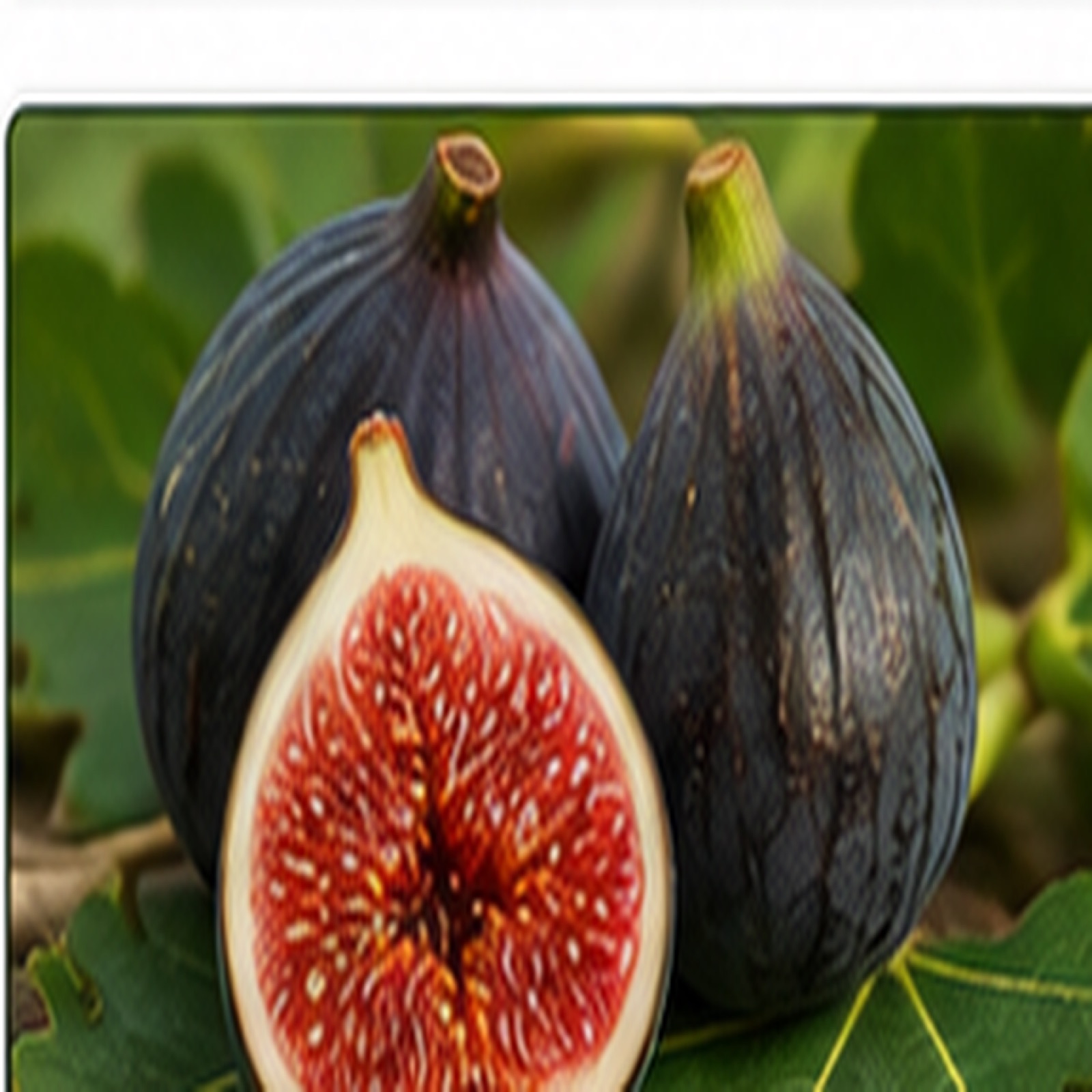 Black Beauty 10 fruit